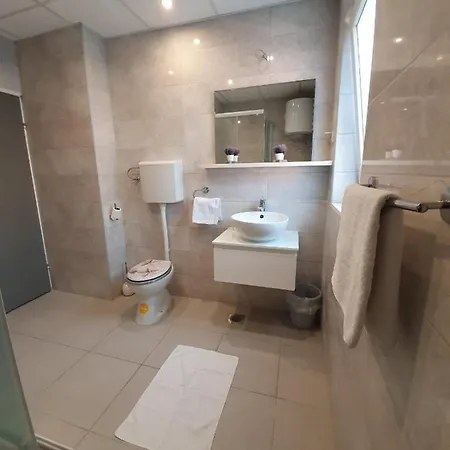 Apartment Brasina Mlini